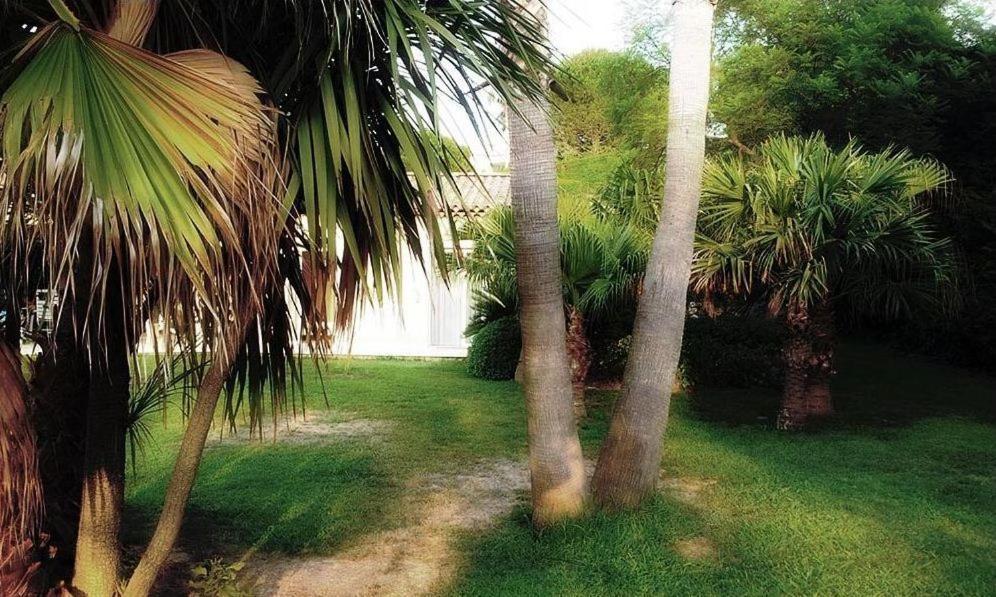 Villa Aloha Antibes Eksteriør billede